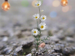 2019���������־˵˵������ �����ѹ����������־����