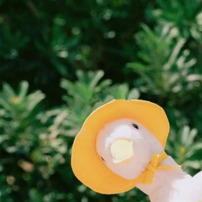 2019���µ�һ��Ψ������˵˵ 5������΢��˵˵��ȫ