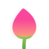 ����ʱ�����appv3.5.8 ���°�