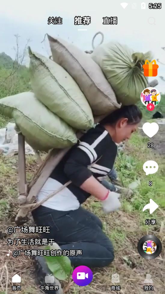 ��ţappv2.6 ���°�