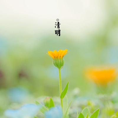 2019������΢�ŷ羰ͼƬ��ȫ ������̤�ྰɫͼƬ