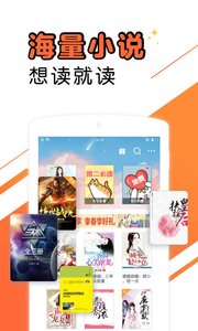 ����С˵app