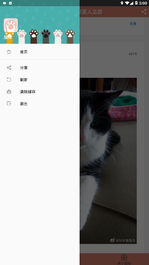 猫脚 猫脚