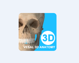 ά����3D����app