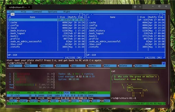 Windows Terminal�������ն˹���
