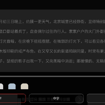 历史小说 历史小说