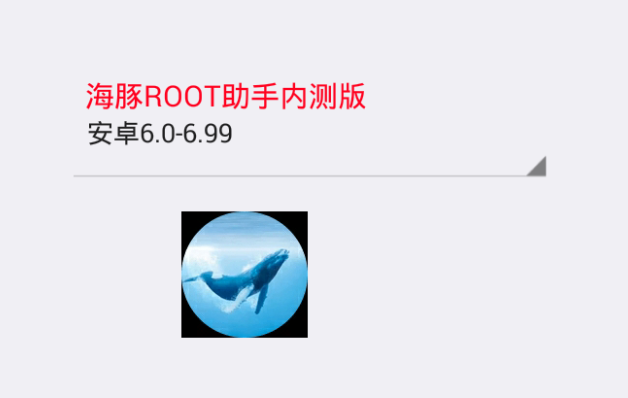 ����root�����ڲ��