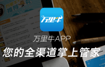 ����ţapp