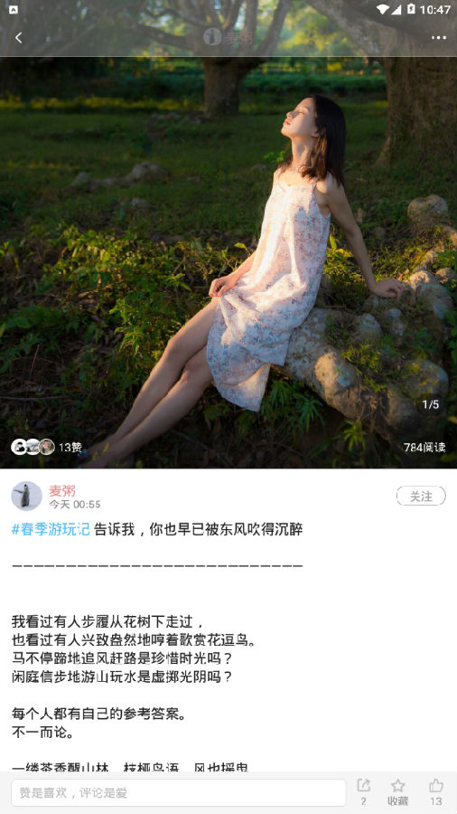 西子湖畔 西子湖畔