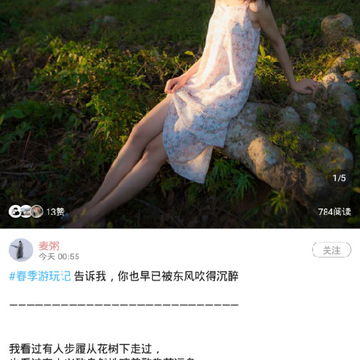 西子湖畔 西子湖畔