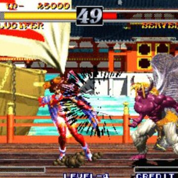 神凰拳 神凰拳