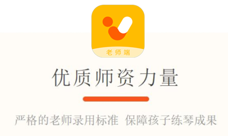 VIP������ʦ��app