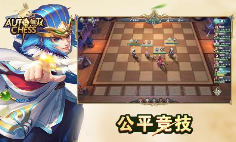 战三国自走棋九游版 战三国自走棋九游版