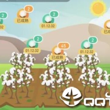 最生活棉花小镇 最生活棉花小镇