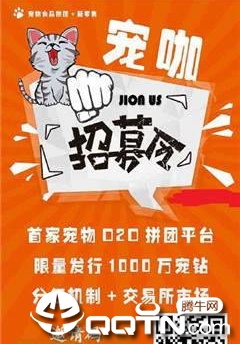 �迧׬Ǯ