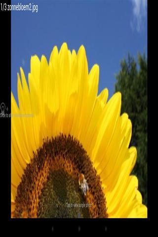 Photo Frame Web��Ƭ��ʾv8.0.3 ���°�