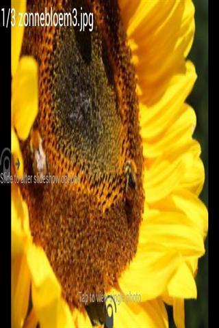 Photo Frame Web��Ƭ��ʾv8.0.3 ���°�