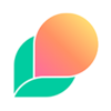 �ʹ�Ӣ��appv3.8.1 ���°�