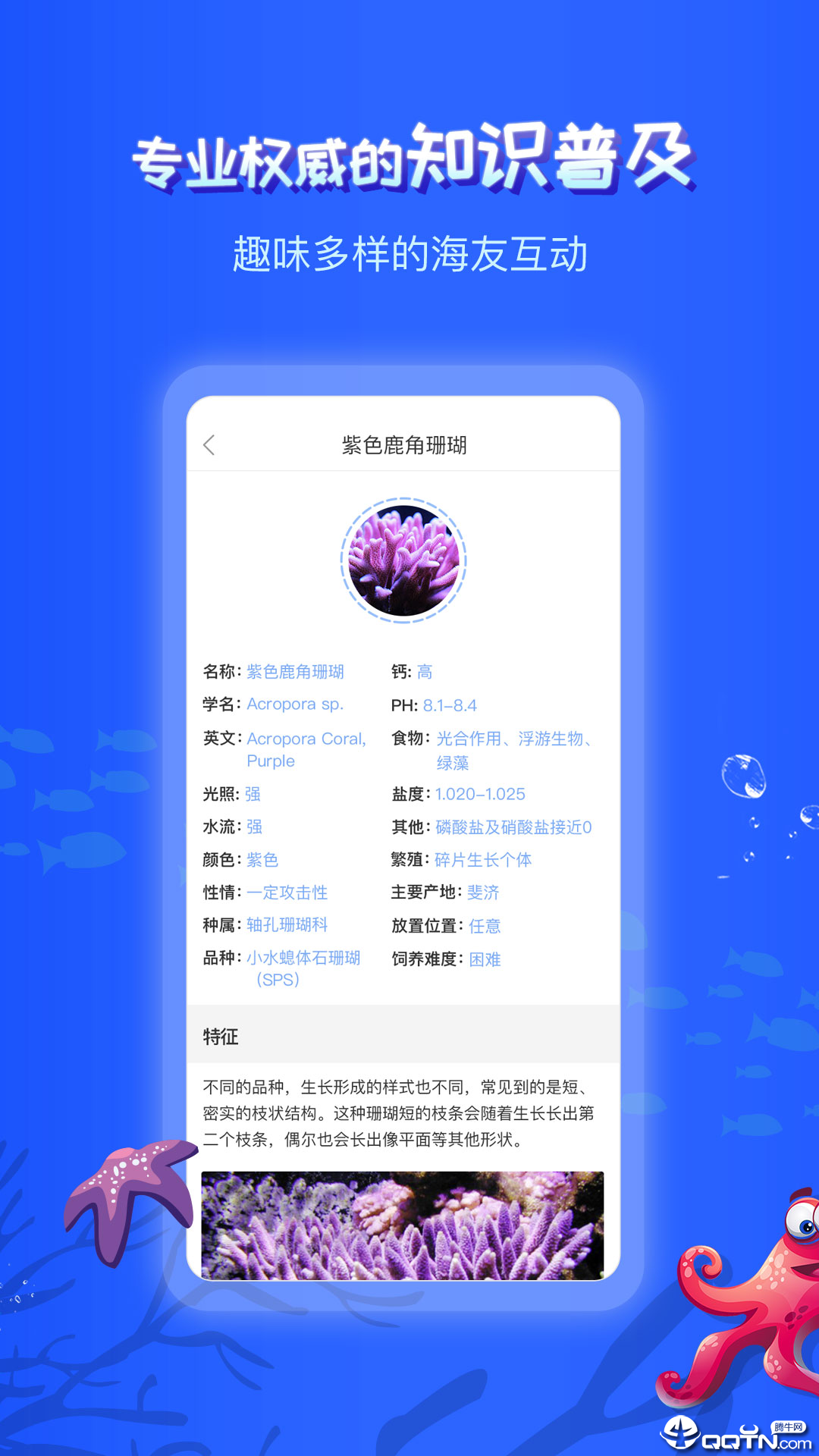 ����֮��v2.6.4 ��׿��