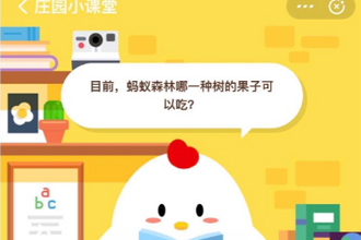 Ŀǰ����ɭ����һ�ֹ��ӿ��Գ� ����ɭ��ɳ��һ����������