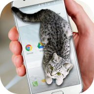 Cat Walks in Phone Cute joke猫咪桌宠v1.0