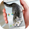 Cat Walks in Phone Cute jokeè������v1.0