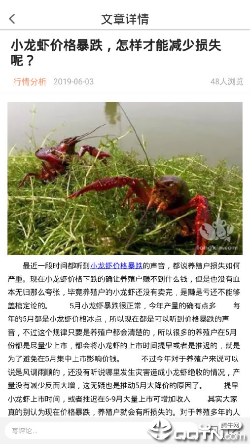 小龙虾价格网 小龙虾价格网