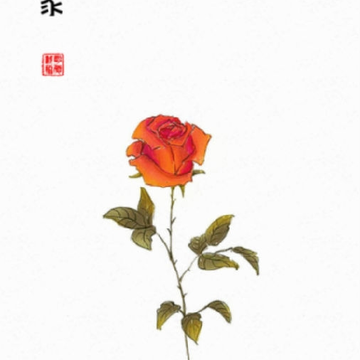 小美持家 小美持家