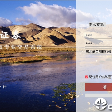 东北证券汇点股票期权 东北证券汇点股票期权