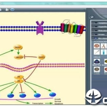 Pathway Builder Tool