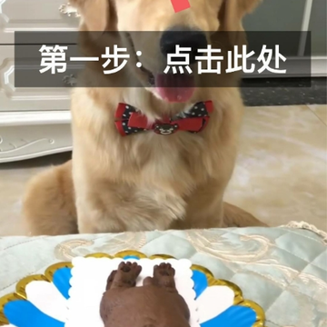 һ��ȥˮӡ