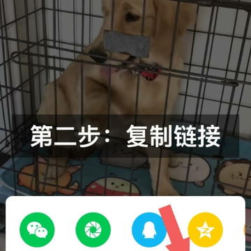 һ��ȥˮӡ
