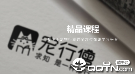����ɮapp