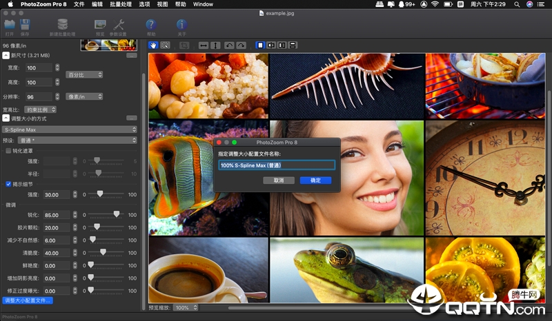 PhotoZoom Pro Mac��
