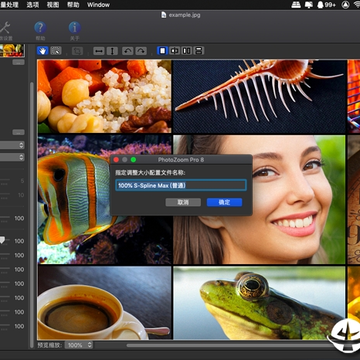 PhotoZoom Pro Mac��