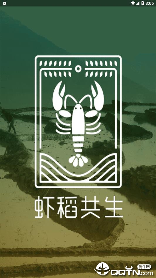 合肥虾稻 合肥虾稻