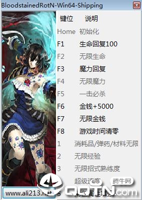 血污夜之仪式十三项修改器 血污夜之仪式十三项修改器