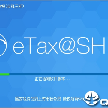 上海市税务网上电子申报企业端 上海市税务网上电子申报企业端