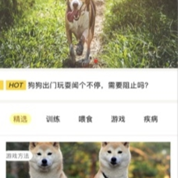 芯爱app 芯爱app