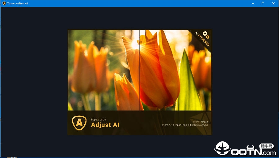 Topaz Adjust AI(HDR��Ⱦ����)