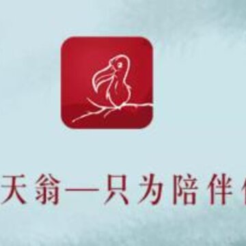 信天翁手赚 信天翁手赚