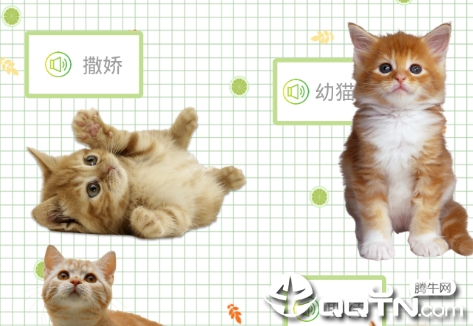 ������è������app