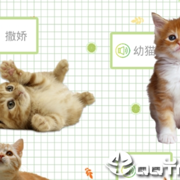 ������è������app
