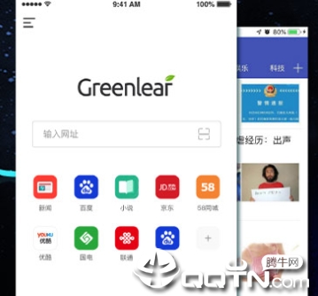 绿叶浏览器ios版 绿叶浏览器ios版