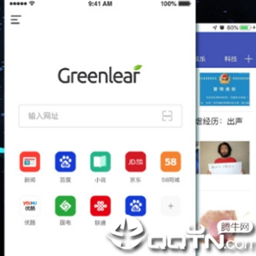 绿叶浏览器ios版 绿叶浏览器ios版
