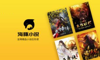����С˵app