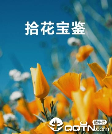 拾花宝鉴 拾花宝鉴