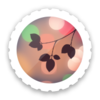 �����黯appv2.0.4 ���°�
