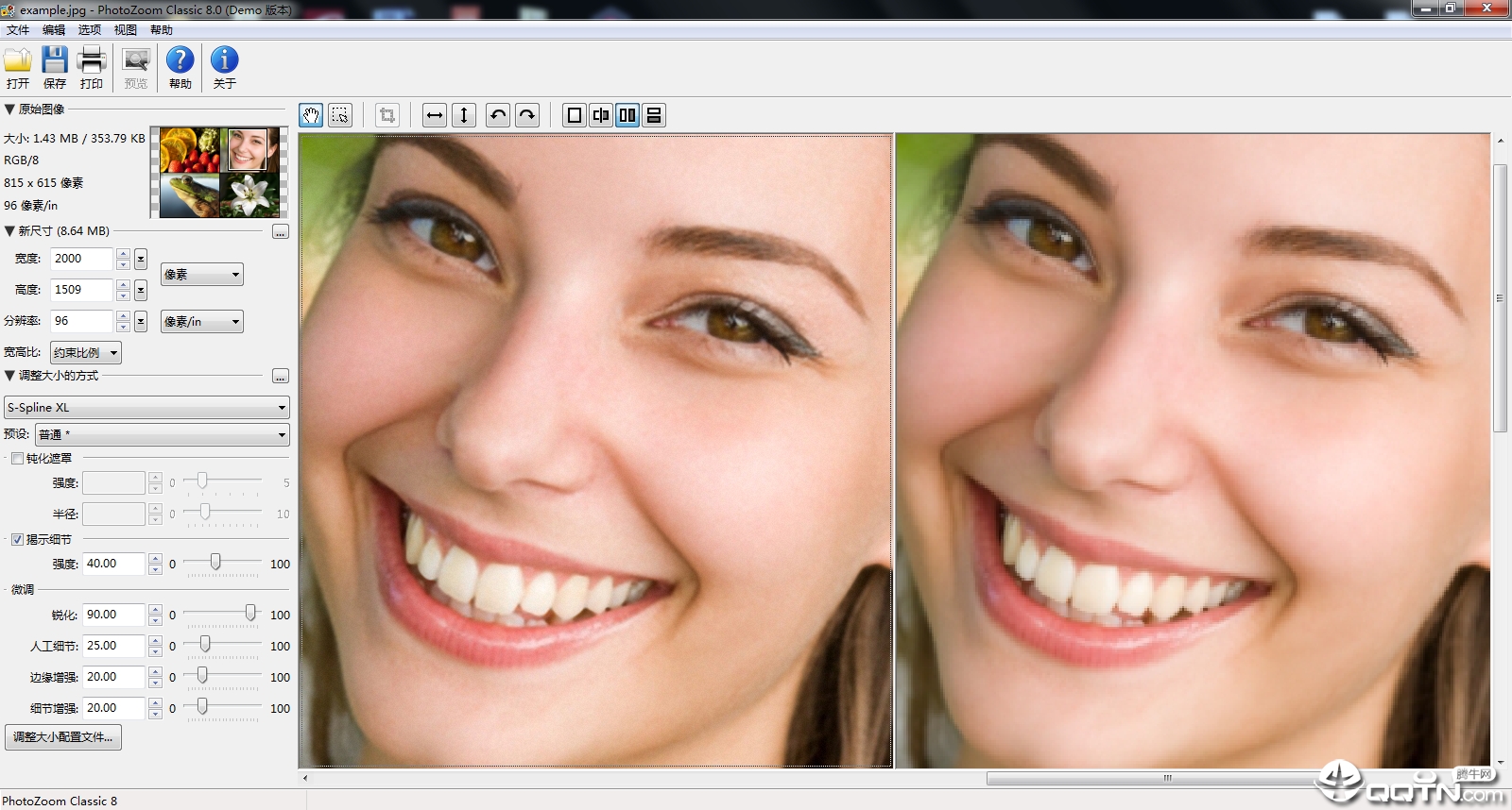 PhotoZoom Classicv8.0 WIN��