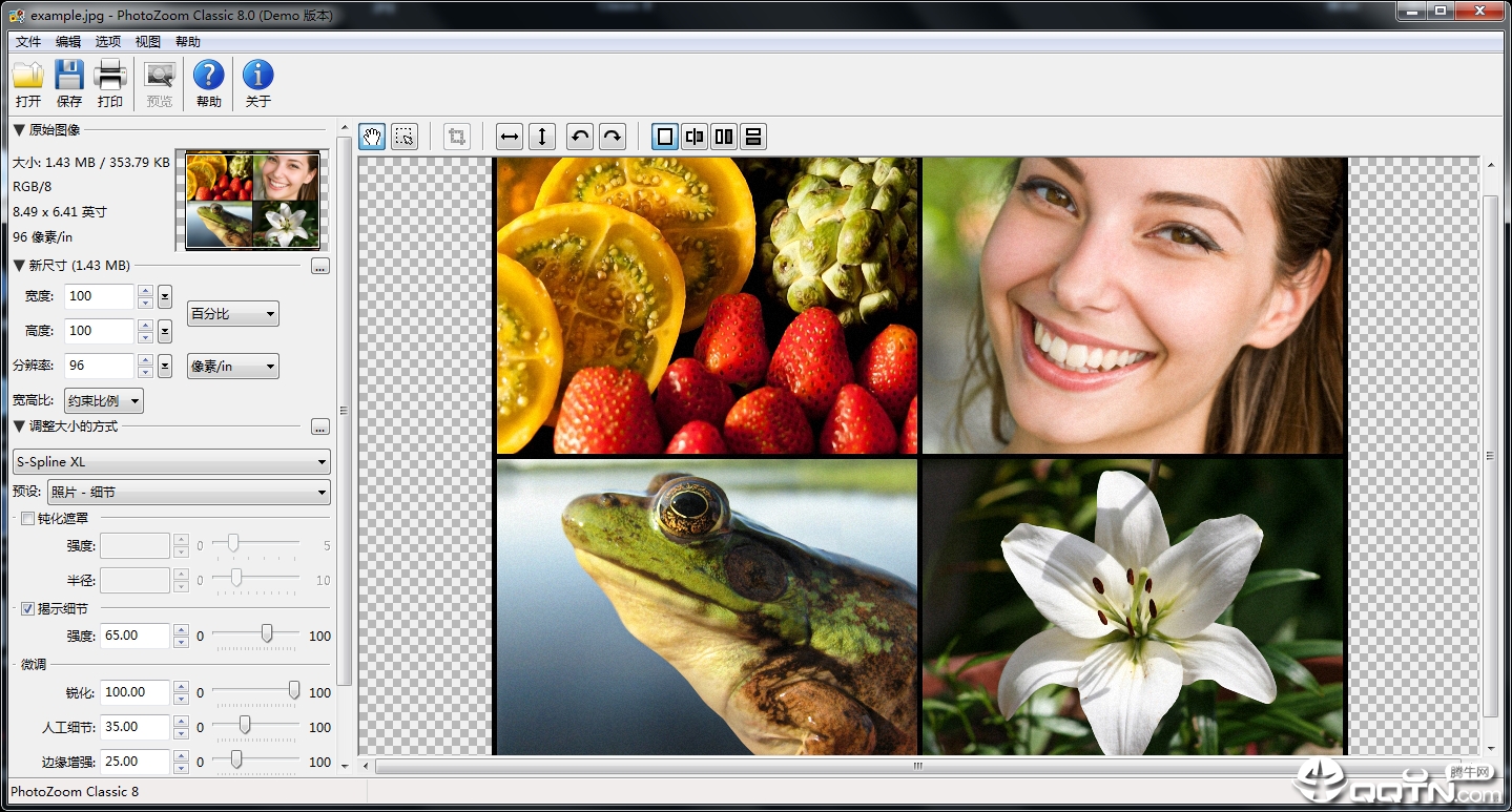 PhotoZoom Classicv8.0 WIN��